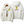 Scuderia Motorsport Windbreaker Jacket